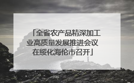 全省农产品精深加工业高质量发展推进会议在绥化海伦市召开