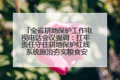 全省耕地保护工作电视电话会议强调：扛牢责任守住耕地保护红线 系统施治夯实粮食安全根基 王宁作出批示 王予波出席并讲话