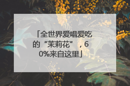 全世界爱唱爱吃的“茉莉花”，60%来自这里