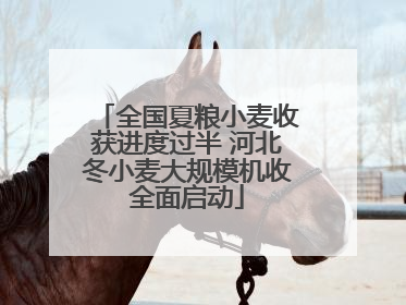 全国夏粮小麦收获进度过半 河北冬小麦大规模机收全面启动