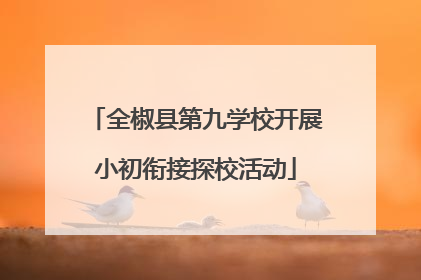 全椒县第九学校开展小初衔接探校活动