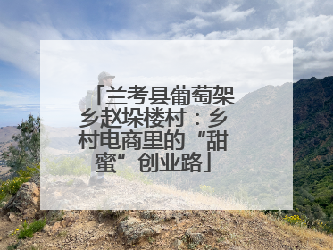 兰考县葡萄架乡赵垛楼村：乡村电商里的“甜蜜”创业路