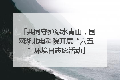 共同守护绿水青山，国网湖北电科院开展“六五”环境日志愿活动