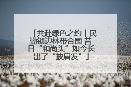 共赴绿色之约丨民勤锁边林带合围 昔日“和尚头”如今长出了“披肩发”