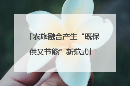 农旅融合产生“既保供又节能”新范式