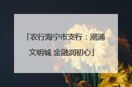 农行海宁市支行：潮涌文明城 金融润初心