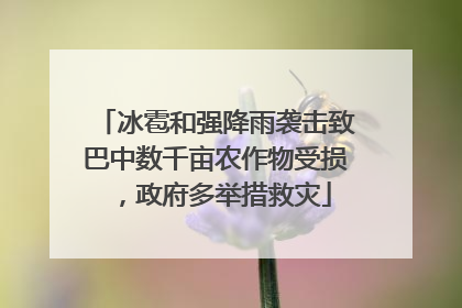 冰雹和强降雨袭击致巴中数千亩农作物受损，政府多举措救灾