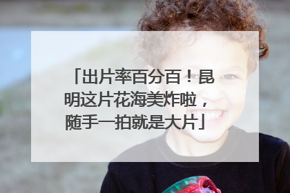 出片率百分百！昆明这片花海美炸啦，随手一拍就是大片
