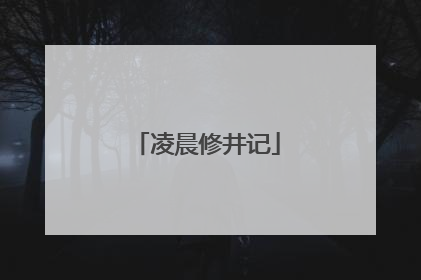 凌晨修井记