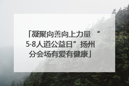 凝聚向善向上力量 “5·8人道公益日”扬州分会场有爱有健康