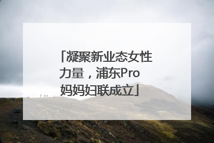 凝聚新业态女性力量，浦东Pro妈妈妇联成立