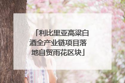 利比里亚高粱白酒全产业链项目落地自贸雨花区块