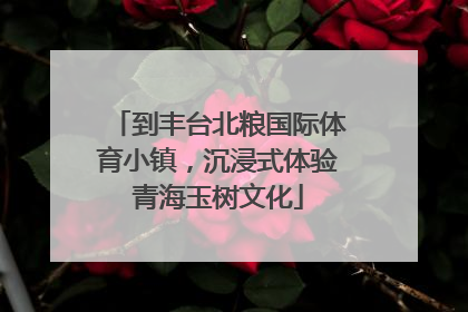 到丰台北粮国际体育小镇，沉浸式体验青海玉树文化