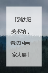 到沈阳美术馆，看法国画家大展