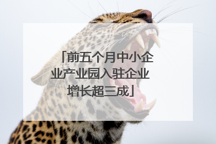 前五个月中小企业产业园入驻企业增长超三成