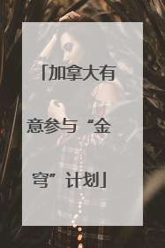 加拿大有意参与“金穹”计划