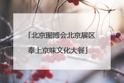 北京图博会北京展区奉上京味文化大餐