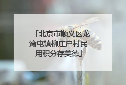 北京市顺义区龙湾屯镇柳庄户村民用积分存美德