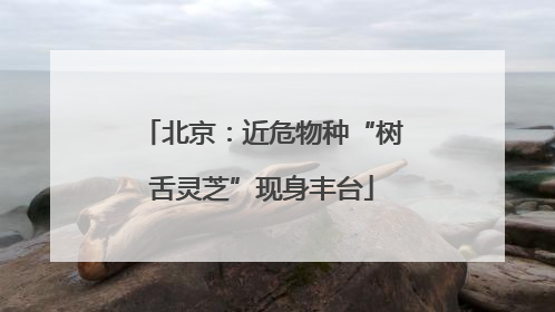 北京：近危物种“树舌灵芝”现身丰台
