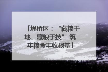 埇桥区：“藏粮于地、藏粮于技” 筑牢粮食丰收根基