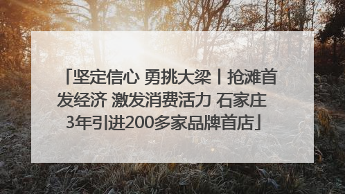 坚定信心 勇挑大梁丨抢滩首发经济 激发消费活力 石家庄3年引进200多家品牌首店