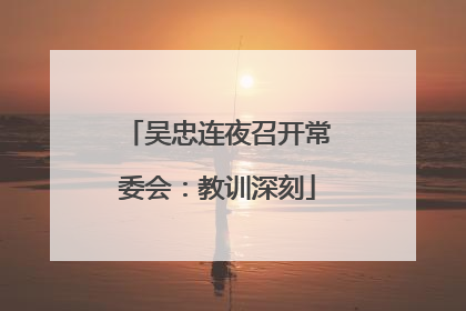 吴忠连夜召开常委会：教训深刻
