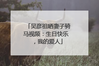 吴彦祖晒妻子骑马视频：生日快乐，我的爱人