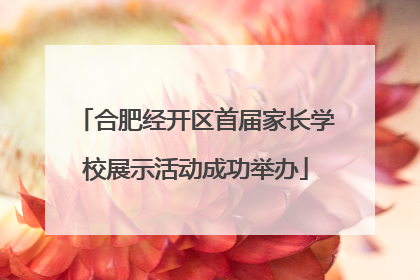 合肥经开区首届家长学校展示活动成功举办