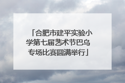 合肥市建平实验小学第七届艺术节巴乌专场比赛圆满举行
