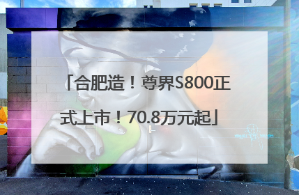合肥造！尊界S800正式上市！70.8万元起