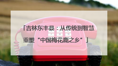吉林东丰县：从传统到智慧重塑“中国梅花鹿之乡”