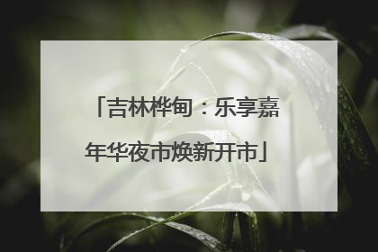 吉林桦甸：乐享嘉年华夜市焕新开市