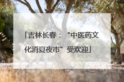 吉林长春：“中医药文化消夏夜市”受欢迎