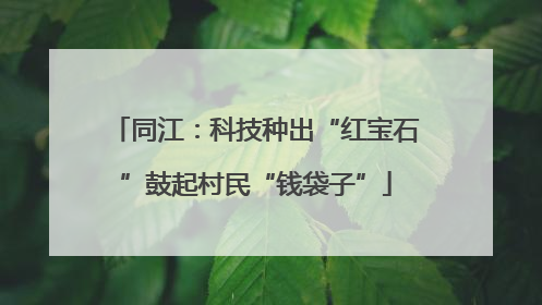 同江：科技种出“红宝石”鼓起村民“钱袋子”