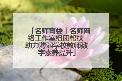 名师育娄丨名师网络工作室组团帮扶 助力薄弱学校教师数字素养提升
