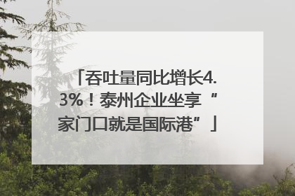 吞吐量同比增长4.3%！泰州企业坐享“家门口就是国际港”