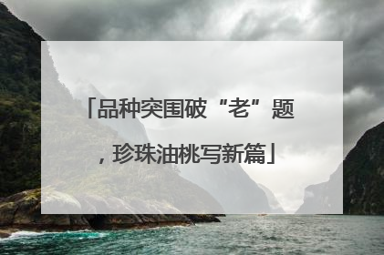 品种突围破“老”题，珍珠油桃写新篇
