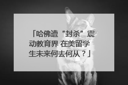 哈佛遭“封杀”震动教育界 在美留学生未来何去何从？