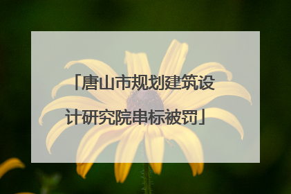 唐山市规划建筑设计研究院串标被罚