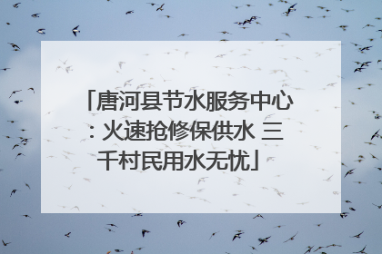 唐河县节水服务中心：火速抢修保供水 三千村民用水无忧