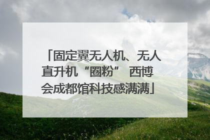 固定翼无人机、无人直升机“圈粉” 西博会成都馆科技感满满