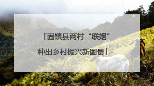 固镇县两村“联姻”种出乡村振兴新图景