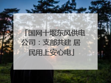 国网十堰东风供电公司：支部共建 居民用上安心电
