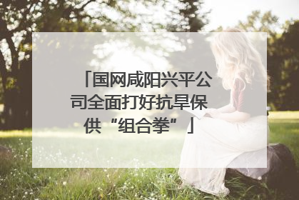国网咸阳兴平公司全面打好抗旱保供“组合拳”
