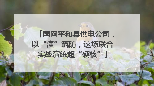 国网平和县供电公司：以“演”筑防，这场联合实战演练超“硬核”