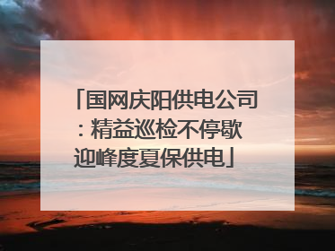 国网庆阳供电公司：精益巡检不停歇 迎峰度夏保供电