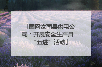 国网汝南县供电公司：开展安全生产月“五进”活动