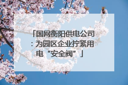 国网衡阳供电公司：为园区企业拧紧用电“安全阀”