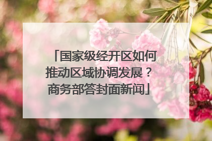 国家级经开区如何推动区域协调发展？商务部答封面新闻
