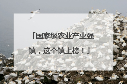 国家级农业产业强镇，这个镇上榜！